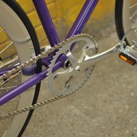 The Fixie Formerly Known as "The Prince"