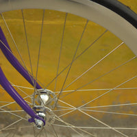 The Fixie Formerly Known as "The Prince"