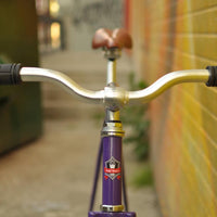 The Fixie Formerly Known as "The Prince"