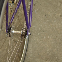 The Fixie Formerly Known as "The Prince"