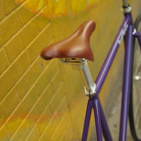 The Fixie Formerly Known as "The Prince"