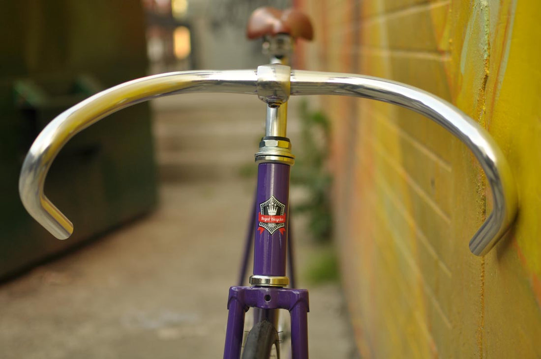 The Fixie Formerly Known as "The Prince"