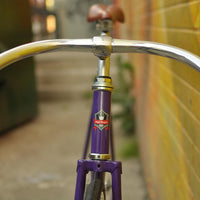 The Fixie Formerly Known as "The Prince"