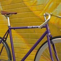 The Fixie Formerly Known as "The Prince"
