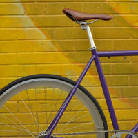 The Fixie Formerly Known as "The Prince"