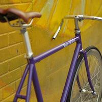 The Fixie Formerly Known as "The Prince"
