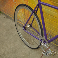 The Fixie Formerly Known as "The Prince"
