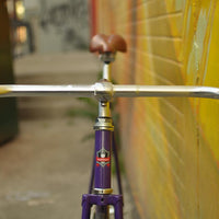 The Fixie Formerly Known as "The Prince"