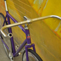 The Fixie Formerly Known as "The Prince"