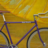 The Fixie Formerly Known as "The Prince"