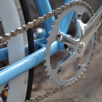 This fixed gear bicycle is called "The Prince" and features white rims and a sky blue frame.