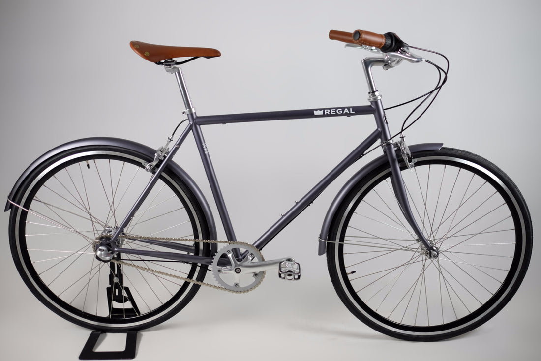 Commuter Bike with a three speed internal hub, made with a steel frame, matte gray in colour, and black rims.
