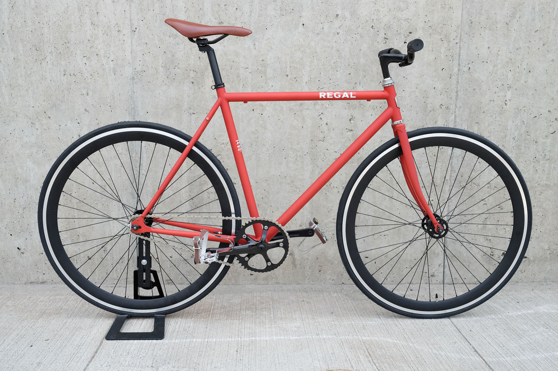 The Raptor 2014 / 2015 Model SMALL