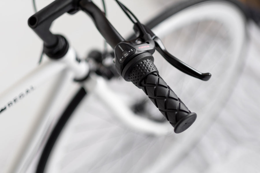 3-Speed Fox
