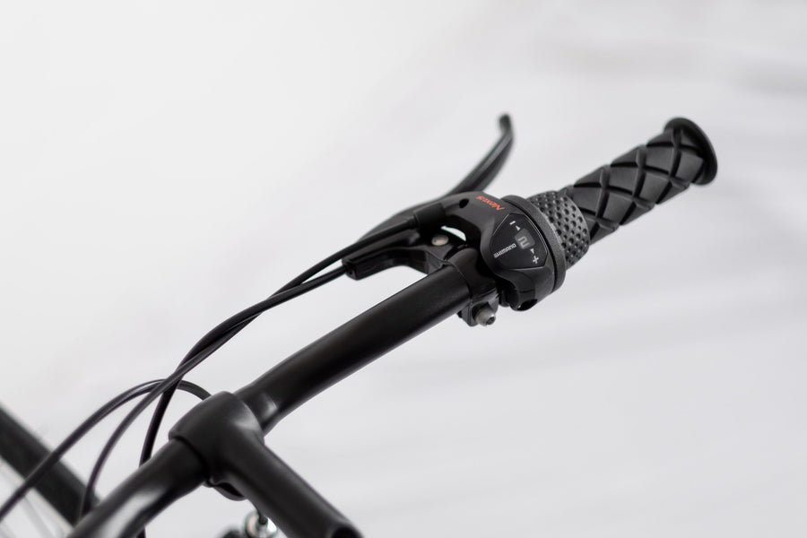 3-Speed Fox
