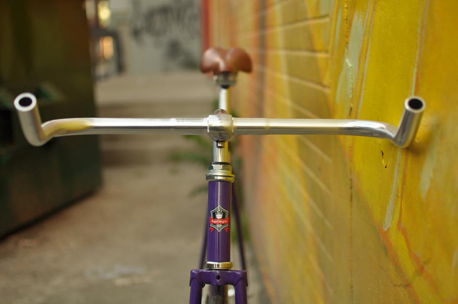 The Fixie Formerly Known as "The Prince"