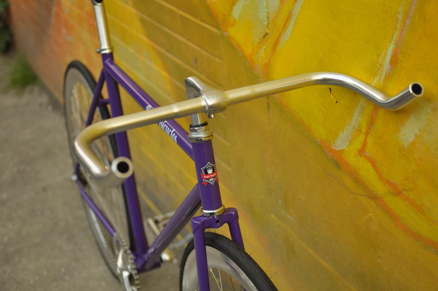 The Fixie Formerly Known as "The Prince"